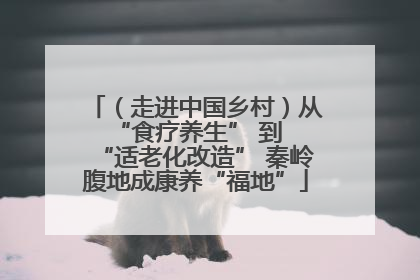 （走进中国乡村）从 “食疗养生” 到 “适老化改造” 秦岭腹地成康养“福地”