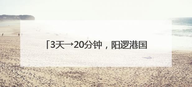 3天→20分钟，阳逻港国际航线靠泊时间大幅缩短
