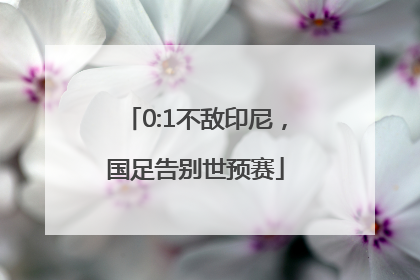 0:1不敌印尼，国足告别世预赛