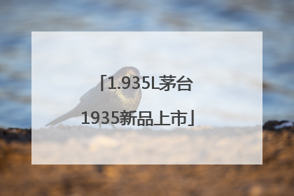 1.935L茅台1935新品上市