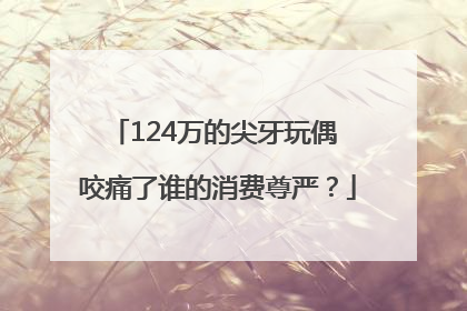124万的尖牙玩偶 咬痛了谁的消费尊严？