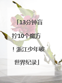 13分钟盲拧10个魔方！浙江少年破世界纪录
