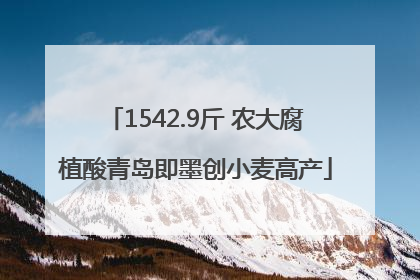 1542.9斤 农大腐植酸青岛即墨创小麦高产