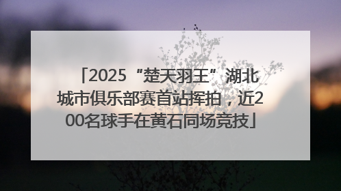 2025“楚天羽王”湖北城市俱乐部赛首站挥拍，近200名球手在黄石同场竞技