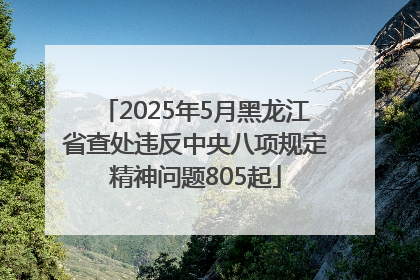 2025年5月黑龙江省查处违反中央八项规定精神问题805起