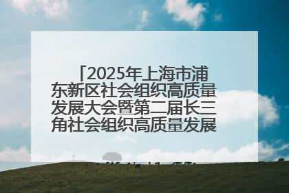 2025年上海市浦东新区社会组织高质量发展大会暨第二届长三角社会组织高质量发展峰会成功举办