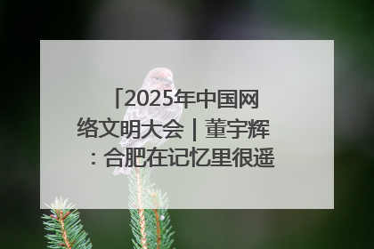 2025年中国网络文明大会｜董宇辉：合肥在记忆里很遥远也很亲切
