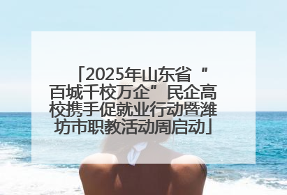 2025年山东省“百城千校万企”民企高校携手促就业行动暨潍坊市职教活动周启动