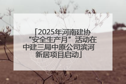2025年河南建协“安全生产月”活动在中建三局中原公司滨河新居项目启动