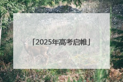 2025年高考启帷