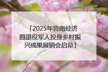 2025年鲁南经济圈退役军人投身乡村振兴成果展销会启幕