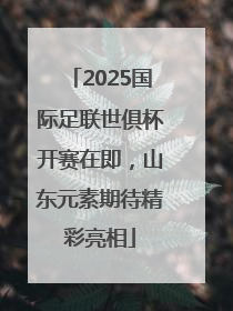 2025国际足联世俱杯开赛在即，山东元素期待精彩亮相