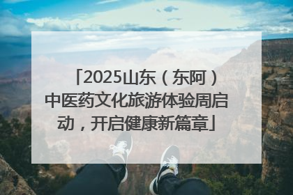 2025山东（东阿）中医药文化旅游体验周启动，开启健康新篇章