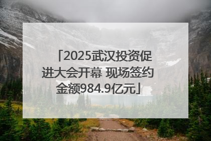2025武汉投资促进大会开幕 现场签约金额984.9亿元