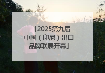 2025第九届中国（印尼）出口品牌联展开幕