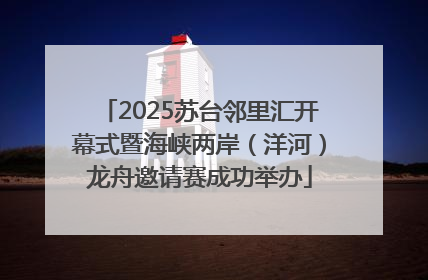 2025苏台邻里汇开幕式暨海峡两岸（洋河）龙舟邀请赛成功举办
