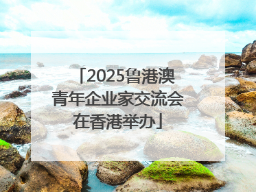 2025鲁港澳青年企业家交流会在香港举办