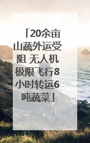 20余亩山蔬外运受阻 无人机极限飞行8小时转运6吨蔬菜