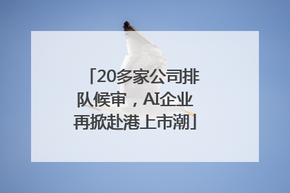 20多家公司排队候审，AI企业再掀赴港上市潮