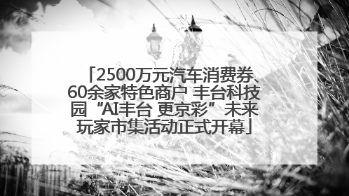 2500万元汽车消费券、60余家特色商户 丰台科技园“AI丰台 更京彩”未来玩家市集活动正式开幕