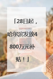 28日起，哈尔滨发放4800万元补贴！
