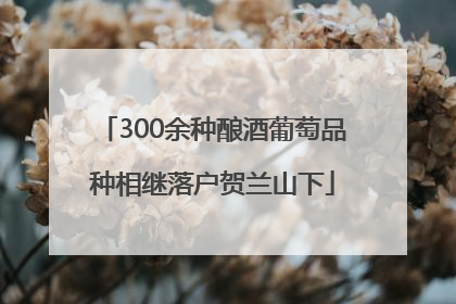 300余种酿酒葡萄品种相继落户贺兰山下