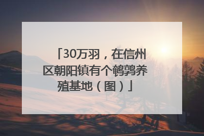 30万羽，在信州区朝阳镇有个鹌鹑养殖基地（图）