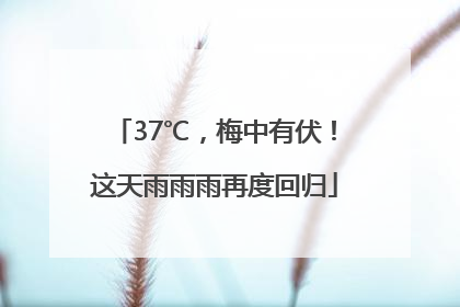 37℃，梅中有伏！这天雨雨雨再度回归