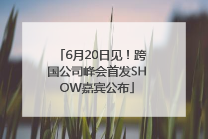6月20日见！跨国公司峰会首发SHOW嘉宾公布