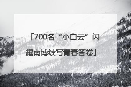 700名“小白云”闪耀南博续写青春答卷