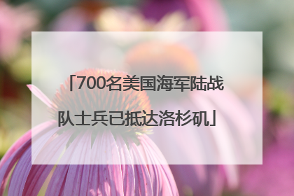 700名美国海军陆战队士兵已抵达洛杉矶
