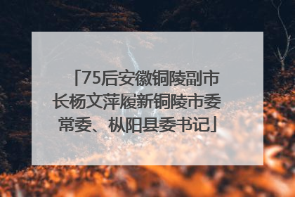 75后安徽铜陵副市长杨文萍履新铜陵市委常委、枞阳县委书记