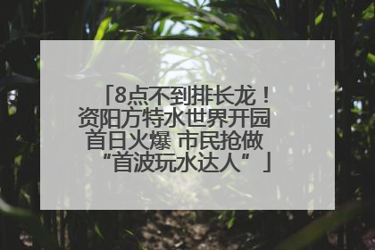 8点不到排长龙！资阳方特水世界开园首日火爆 市民抢做“首波玩水达人”