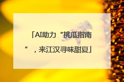 AI助力“挑瓜指南”，来江汉寻味甜夏