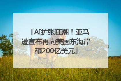 AI扩张狂潮！亚马逊宣布再向美国东海岸砸200亿美元