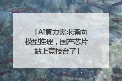 AI算力需求涌向模型推理，国产芯片站上竞技台了
