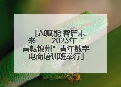 AI赋能 智启未来——2025年“青耘锦州”青年数字电商培训班举行