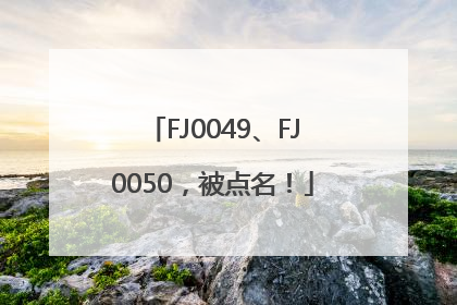 FJ0049、FJ0050，被点名！