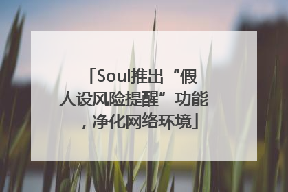 Soul推出“假人设风险提醒”功能，净化网络环境