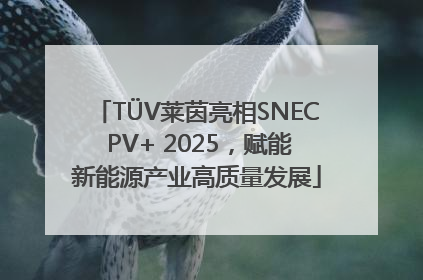 TÜV莱茵亮相SNEC PV+ 2025，赋能新能源产业高质量发展